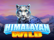 Himalayan Wild