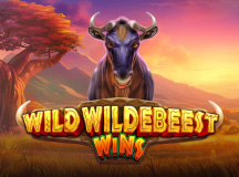 Wild Wildebeest Wins